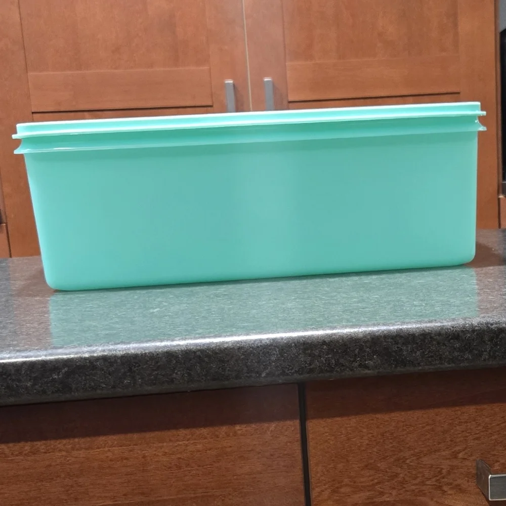 Tupperware Large Storage Tote - Picture 2 of 4